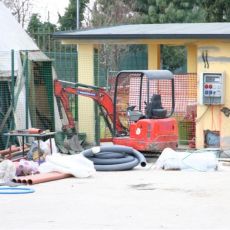 pedrinelli lavori